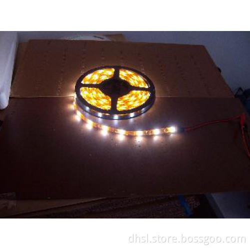 smd5050 led strip light 30pcs led per meter Ip68(2)